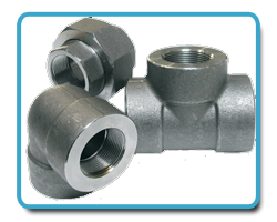 Inconel Forged fitting
